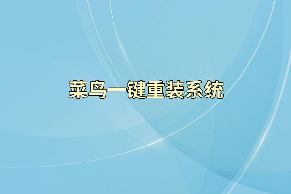 菜鸟一键重装系统