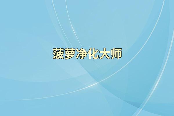 菠萝净化大师