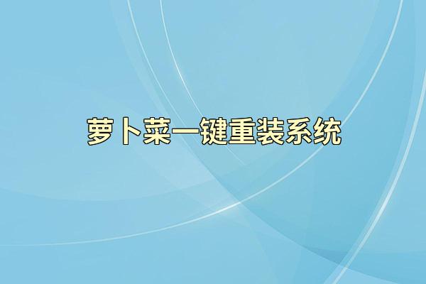 萝卜菜一键重装系统