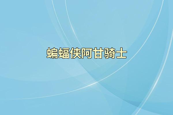 蝙蝠侠阿甘骑士