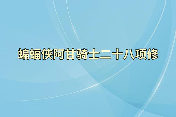 蝙蝠侠阿甘骑士二十八项修