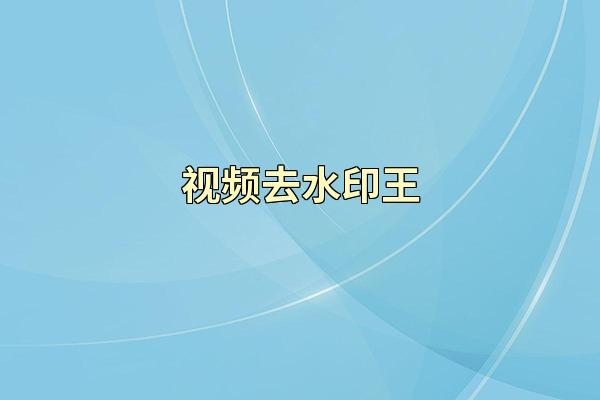 视频去水印王