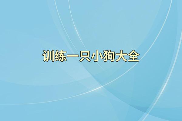 训练一只小狗大全