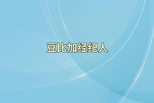 豆比加经纪人