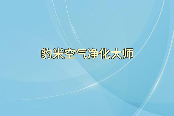 豹米空气净化大师