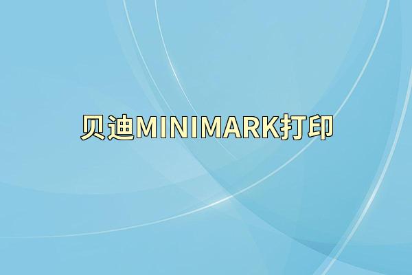 贝迪MINIMARK打印