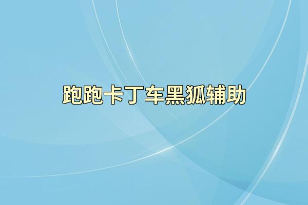 跑跑卡丁车黑狐辅助