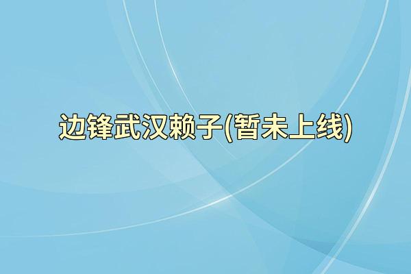 边锋武汉赖子(暂未上线)