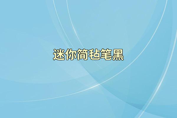 迷你简毡笔黑