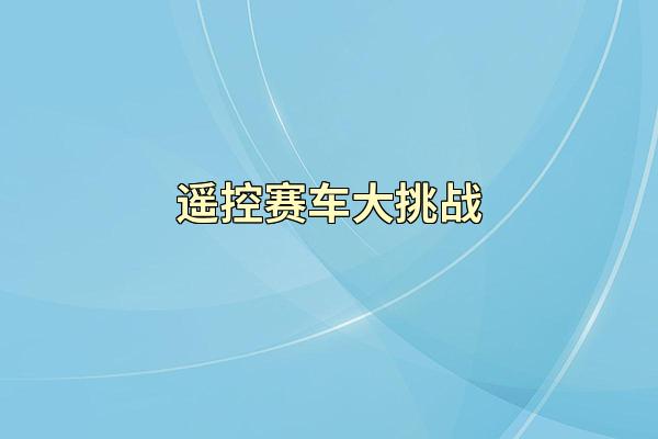 遥控赛车大挑战