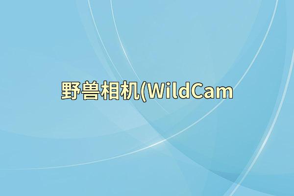 野兽相机(WildCam