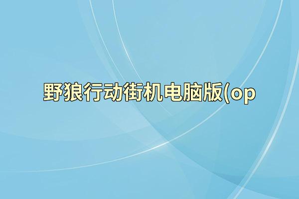 野狼行动街机电脑版(op