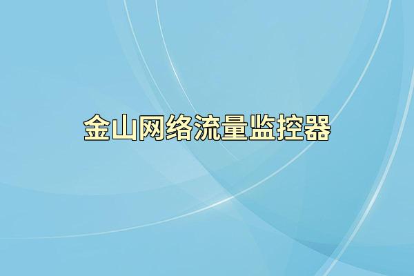金山网络流量监控器