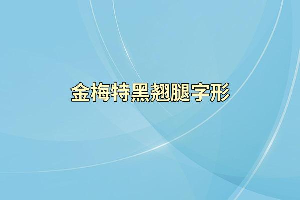 金梅特黑翘腿字形