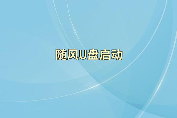 随风U盘启动