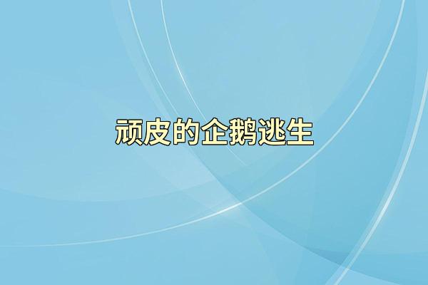 顽皮的企鹅逃生