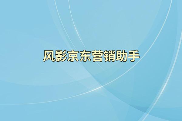 风影京东营销助手