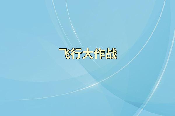 飞行大作战