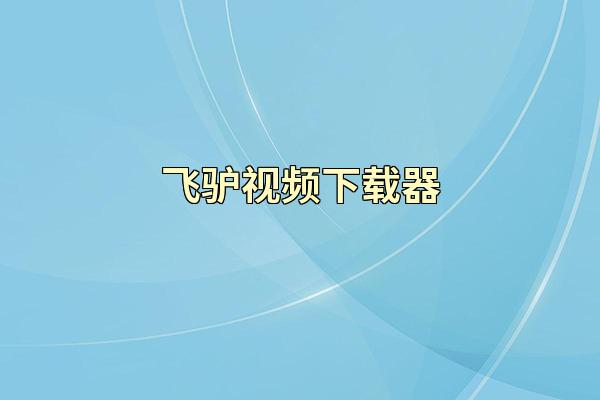 飞驴视频下载器