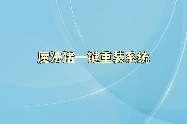魔法猪一键重装系统