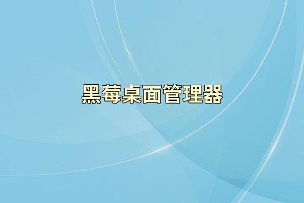 黑莓桌面管理器