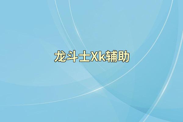 龙斗士Xk辅助
