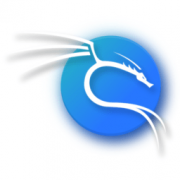 kali linux镜像下载-kali linux系统官方版2021下载v2021.2 安装版