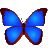 bkViewer.exe下载-bkViewer图像浏览软件下载v7.2 免费版