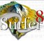 surfer简体中文版下载-surfer(画三维图)专业版下载v8.0 汉化免费版-附序列号