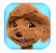 会说话的泰勒狗手机版下载-会说话的泰迪狗(Talking Teddy Dog)下载v1.2 安卓版