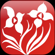 红草视界app下载-红草视界下载v5.0 安卓版