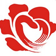 重庆志愿者app下载-重庆志愿者手机版(暖青汇)下载v1.2.0 官网安卓版