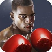 拳击之王下载-Punch Boxing 3D 拳击之王下载v2.61 安卓修改版