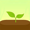 forest专注森林下载-forest最新版下载v4.95.0 安卓版