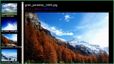 picasa3官方下载-谷歌图片浏览器(Google Picasa)下载V3.9.141.259 多语中文版-第2张图片