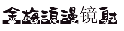 金梅浪漫镜射体