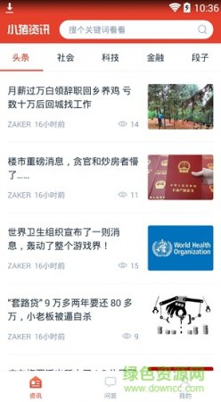 小猪资讯app