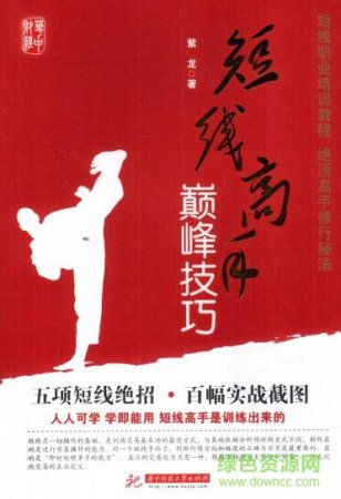 短线高手巅峰技巧pdf
