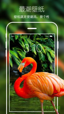 ios图标是10的壁纸软件