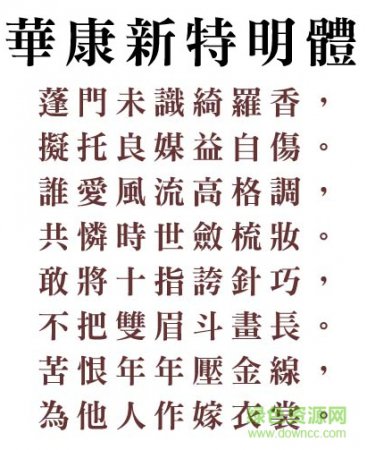 “华康新特明体”