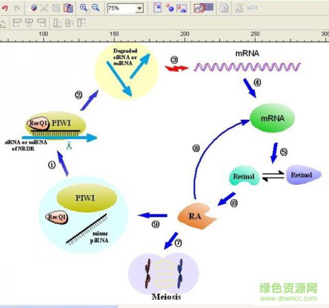 acdfree12