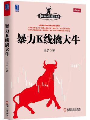 暴力k线擒大牛pdf