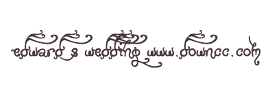 edward s wedding字体