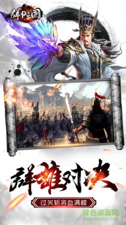 群P三国