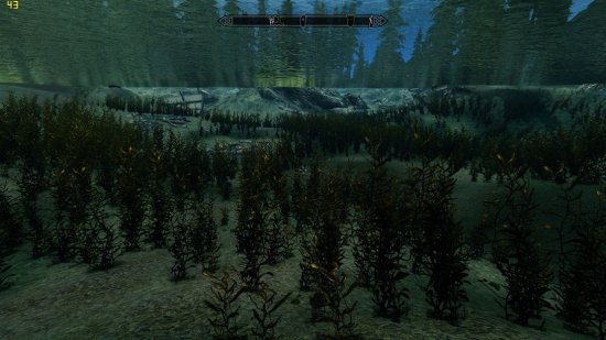 上古卷轴5低配福利移除水草MOD-上古卷轴5移除水草MOD下载绿色版-第1张图片