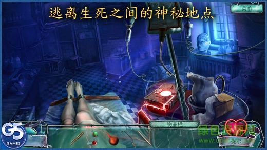 爱丽丝之旅