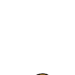 蛋黄哥动态表情包