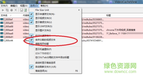 videocacheview汉化版