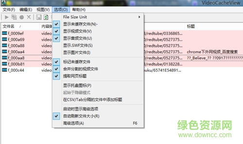 videocacheview绿色版