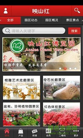 映山红app